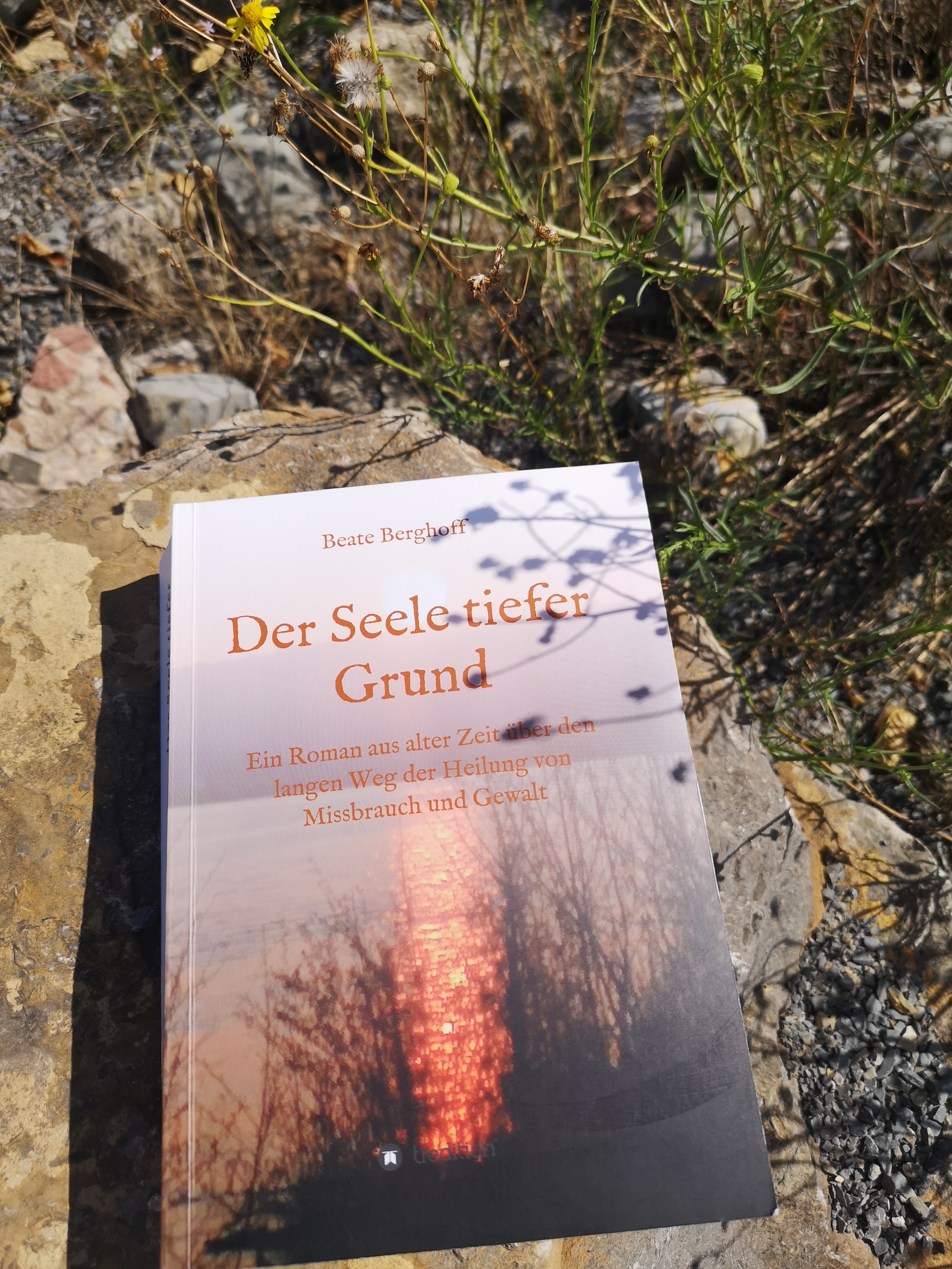 Buchcover "Der Seele tiefer Grund"
Privatarchiv Beate Berghoff
